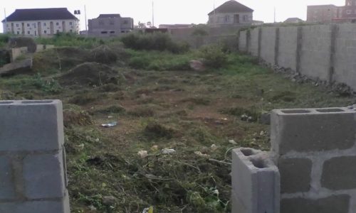 land-for-sale-before-you-buy-that-land-in-Nigeria